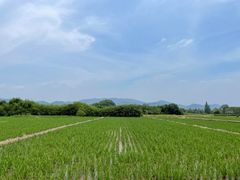 -良渚古城遗址公园