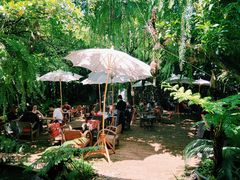 -Fern Forest Cafe