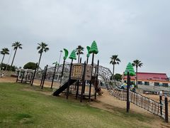 -碧海金沙