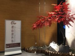 -璞·澐间影院式足道SPA(尚悦湾店)