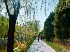 -元大都城垣遗址公园