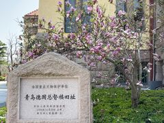 -青岛德国总督楼旧址博物馆