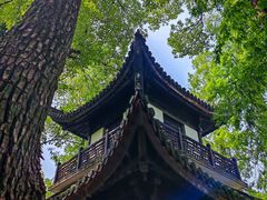 -汇龙潭