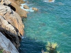 -广东惠东海龟国家级自然保护区