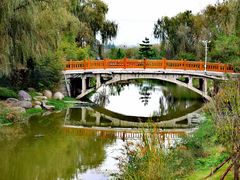 -羊亭河湿地公园