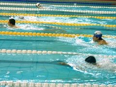 -陕西省游泳跳水馆