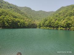 -龙坞茶村