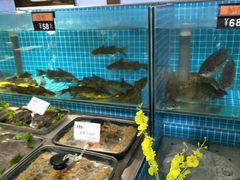-王厚元饺子·辽菜·烤鸭(沈北店)