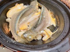 金榜黄花鱼-恭喜上堓砂锅焗·海鲜大排档(闵行龙湖店)