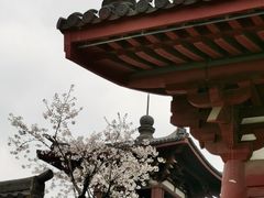 -南翔古镇