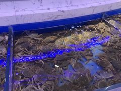 水产区-澜悦港海鲜体验主题餐厅