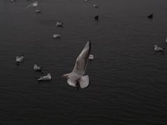 -塘沽站