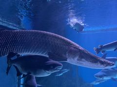 -多彩贵州城极地海洋世界