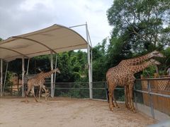 -泉州海丝野生动物世界