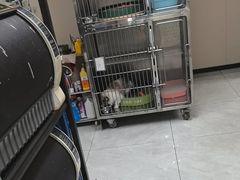 -安安宠医宠物医院·异宠·犬猫内科(岳阳分院)