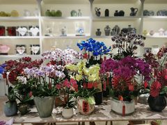 -花辰月夕花坊(北滨路店)