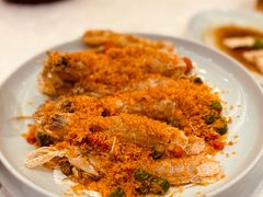 -欢乐海岸美食联盟