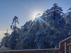 -瓦屋山景区