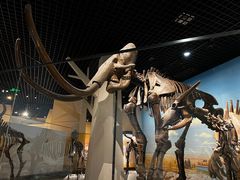 -国家自然博物馆