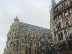 -斯蒂芬主教座堂(Stephansdom)