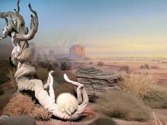 -陕西自然博物馆