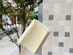-钟薛高(南头古城店)