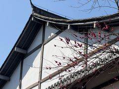 -三垟湿地