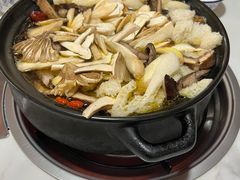 -蘑统田下·野生菌火锅