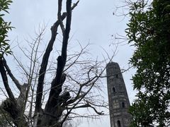 -上海佘山国家森林公园天马山园