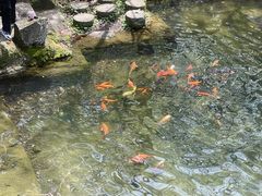 -千岛湖东南湖区