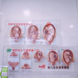 -五洲妇儿医院