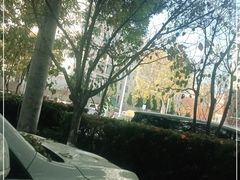 -丽森酒店-中餐厅