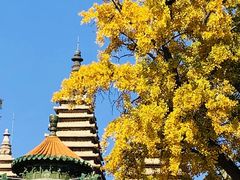 -北京石刻艺术博物馆(五塔寺)
