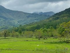 -黟县屏山村