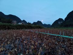 -靖西鹅泉风景区