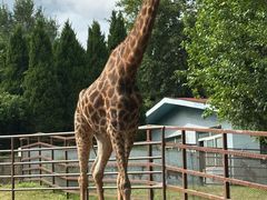 -大连森林动物园