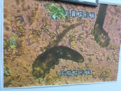 -痘院长·祛痘·皮肤管理