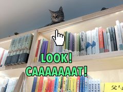 -猫的天空之城概念书店(苏州平江店)