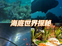 -涛·海底餐厅·美人鱼·自助餐·海底隧道(三亚海棠湾洲际度假酒店)