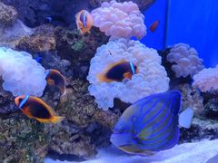 -多彩贵州城极地海洋世界