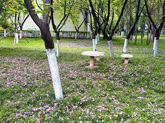 -西安市长乐公园
