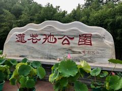 -莲花池公园