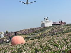 -空港花田景区