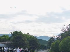 -秦始皇帝陵博物院-丽山园