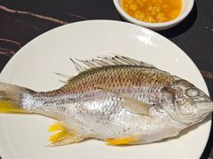 -吴记富苑(朝阳店)