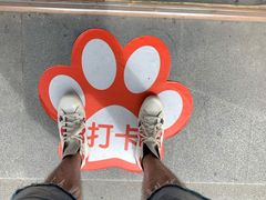 -熊猫邮局(少城店)