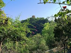 -大屏嶂森林公园