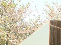-龙美术馆(西岸馆)