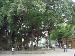 一树成林-烟桥古村