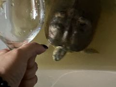 -水围村